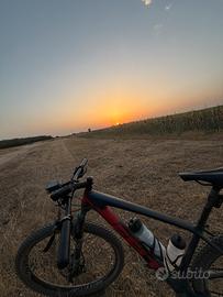 Mountain bike felt doctrine carbonio