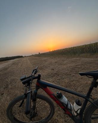Mountain bike felt doctrine carbonio