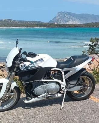 SUPER BUELL WHITELIGTHING