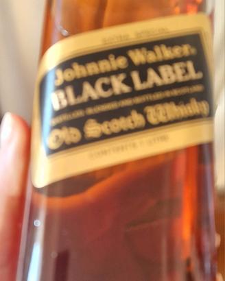 scotch
