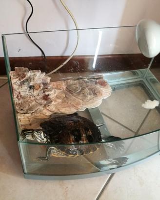 Lampadina per rettili uva uvb