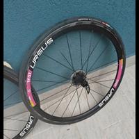 Ruote ursus in carbonio tc37 team bardiani