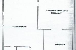 Commerciale ed Artigianale