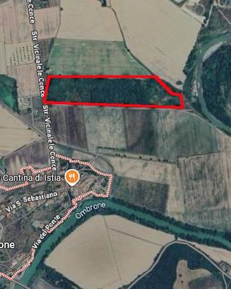 Terreno Agricolo - Grosseto