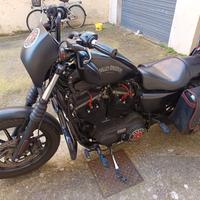 Harley Davidson  883 Iron 