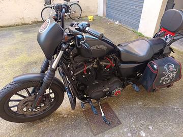 Harley Davidson  883 Iron 