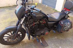 Harley Davidson  883 Iron 