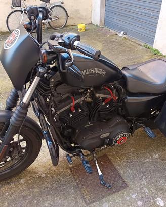 Harley Davidson  883 Iron 