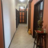 Ampio e luminoso appartamento