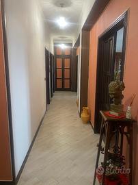 Ampio e luminoso appartamento