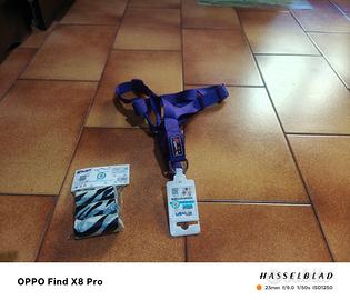 pettorina sacchetti pupù 