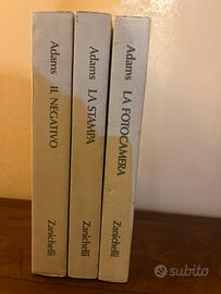 Fotografia Ansel Adams