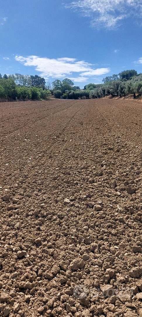 Terreno agricolo - Altro