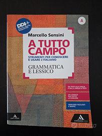 978-8824778480 - 8824778488 - Grammatica e Lessico