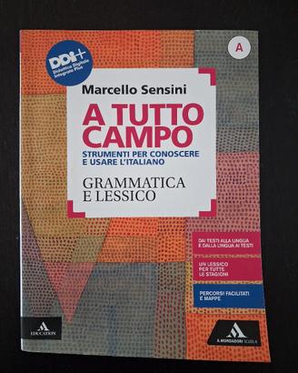 978-8824778480 - 8824778488 - Grammatica e Lessico