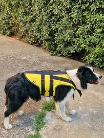 Salvagente per cani 