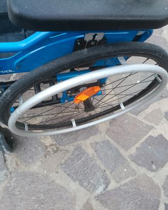 sedia a rotelle 