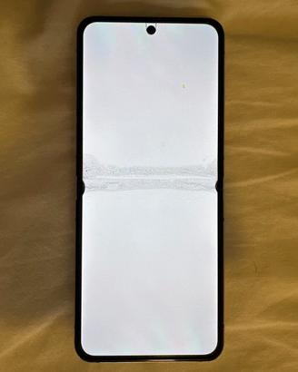 Galaxy Z Flip 5 256 GB (piccolo difetto pixel)