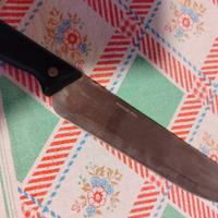 coltello acciaio inox 