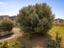 Immagine 29