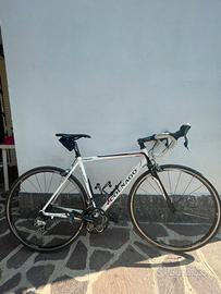 Bici da corsa colnago primavera