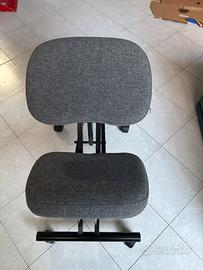 Sedia ergonomica