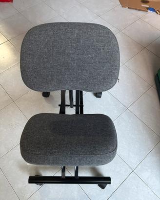 Sedia ergonomica