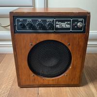 amplificatore chitarra eko super polyphemus (1982)