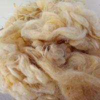 lana di pecora non trattata
