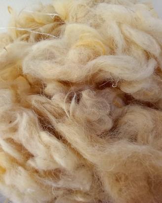 lana di pecora non trattata