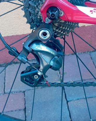 Colnago carbonio Shimano Ultegra