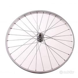 Ruota posteriore da 24 x 1.75 vintage in ferro