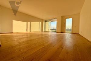 Ponte s nicolo' -ultimo nuovo 3 camere con giardin