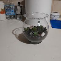 Centrotavola o oggetto di arredamento piante .Cent