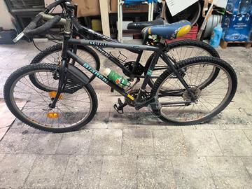 Due biciclette Bianchi