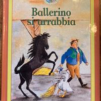 Ballerino si arrabbia - libro illustrato