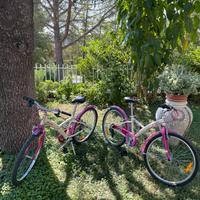 Bicicletta ragazza 24