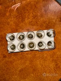 10 lampadine Neolux P21/5W (modello N334) 24V