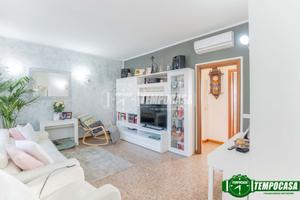 Appartamento a Bareggio Via Trieste 3 locali