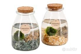 MARIMO