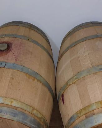 Botti in rovere