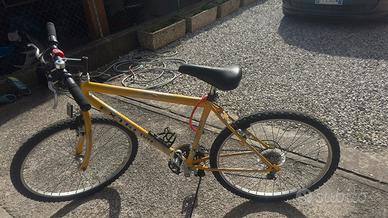 Bici da ragazzo