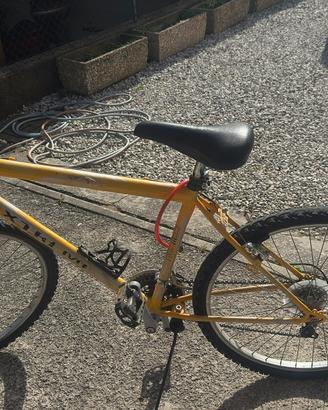 Bici da ragazzo