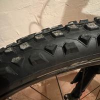 Gomme mtb Pirelli