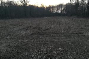 Terreno agricolo e boschivo