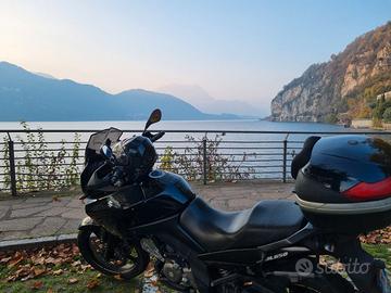 Suzuki V-strom 650 2009