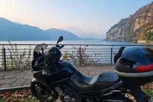 Suzuki V-strom 650 2009