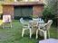 Immagine 19