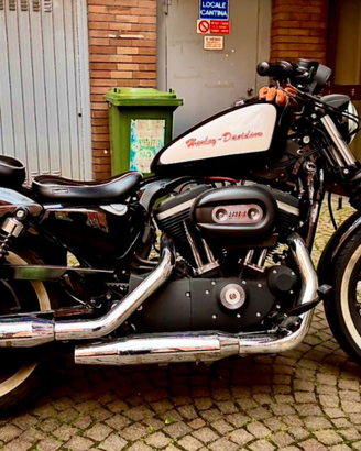 Harley-Davidson Iron Sportster 883 – anno 2010