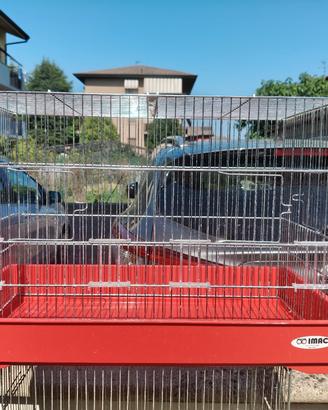 Gabbie , Gabbie da Cova & Voliera 